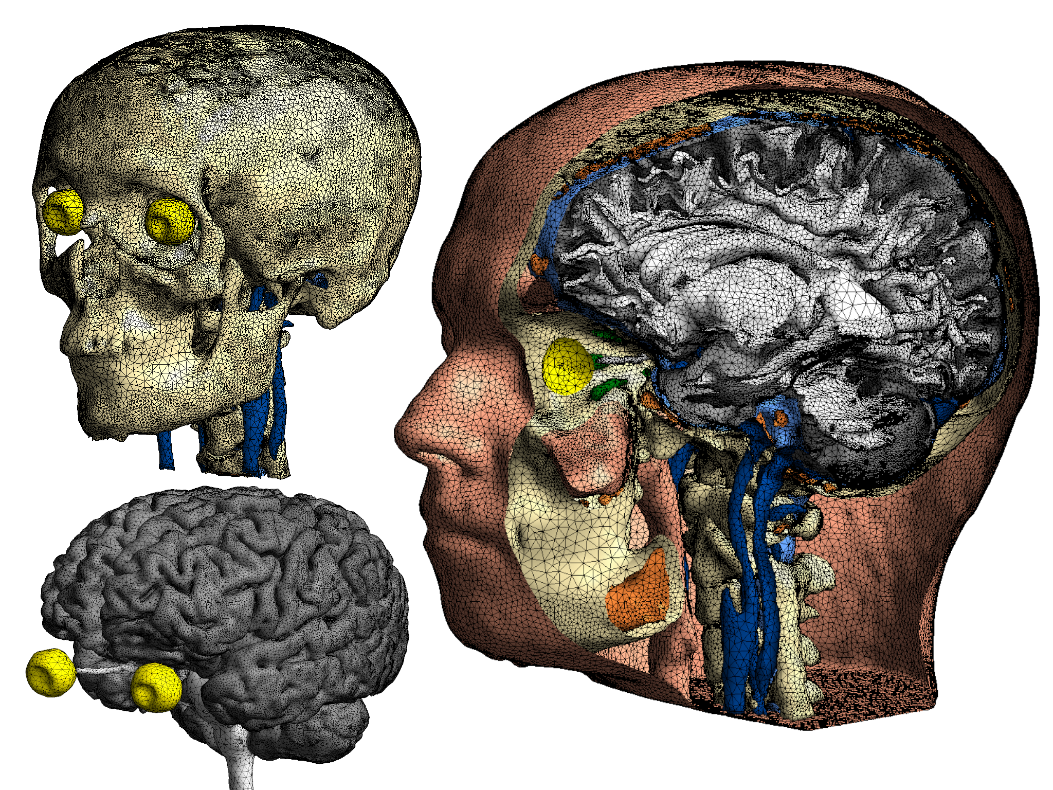 Illustration of some partial meshes and cut